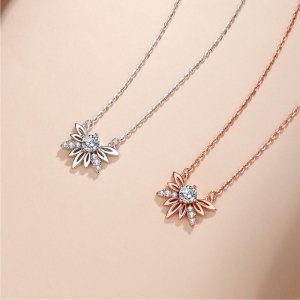 Dainty Fireworks Star Pe